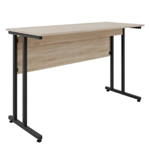 Парта Desk 120/60/75 экран ЛДСП(R)